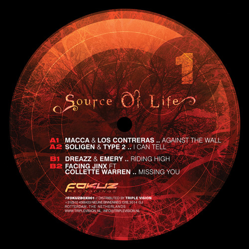 FOKUZBOX001_A2 / Soligen & Type 2 – I Can Tell (Forthcoming 06/04/2015)