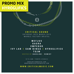 Critical Sound | Hyroglifics | Promo Mix | Bristol - 28th March 2015