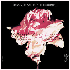 Dans Mon Salon & Echonomist - What You Feel (Original Mix)