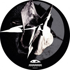 OMD003 FINSTER - A Boar In Tha House (Original Mix) Preview