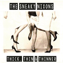 Thick Thin And Thinner - The Sneaky Nixons