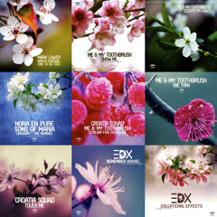 Enormous Tunes 5 (Continuous DJ Mix By William Forest)