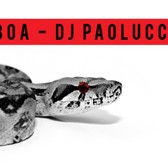 DJ Paolucci - BOA (Original Mix)