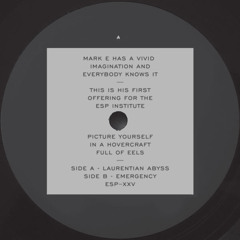 [ESP025] MARK E - Laurentian Abyss