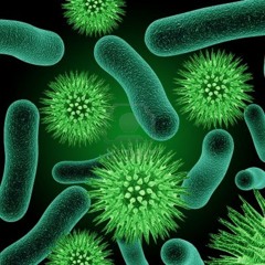 Bacterias - V-0.1
