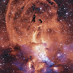 Stivo - Se Perderán!