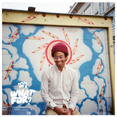 Toro Y Moi - Run Baby Run