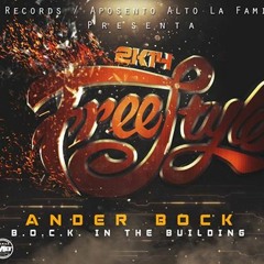 Freestyle 2015 - Ander Bock