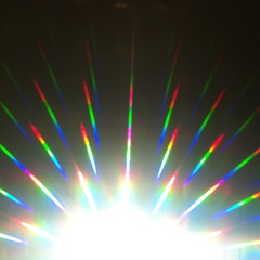 Down In The Groove