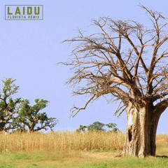 Laidu (Florista Remix)