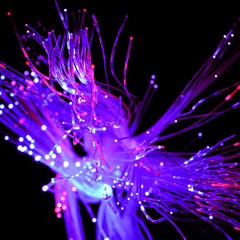 SLAP618 x DAZED - FIBER OPTICS 212 REMIX