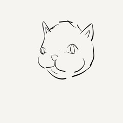 A cat I drew