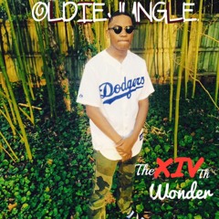 OldieJungle X The XIVth Wonder