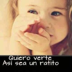 Refugio De Amor Mix