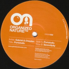 Gabriel & Dresden "Serendipity"