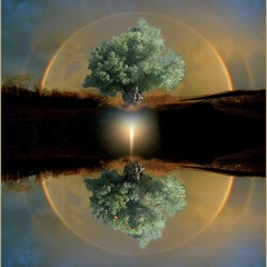anima mundi (2014)