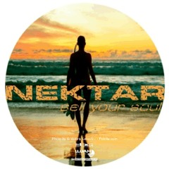 Betty Cobana - Nektar [Sell Your Soul] [Surfers Recall]