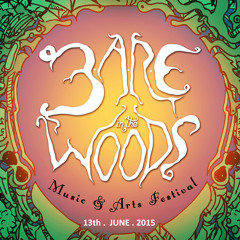 Performing at B.A.R.E in The Woods Festival