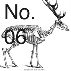 DEER Selections No. 06