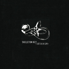 SKELETON KEY - Sawdust