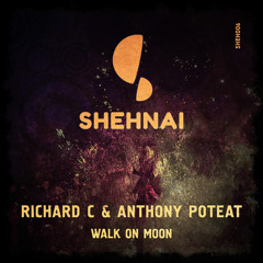 Richard C & Anthony Poteat - Walk On Moon