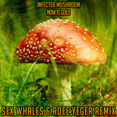 Infected Mushroom - Now Is Gold (feat. Kelsy Karter) (Sex Whales & Roee Yeger Remix)