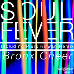 Bronx Cheer Soul Fever (Original Mix) Low Quality