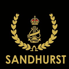 Sandhurst Silver - Torchbearer - Stevenage Areas 2015