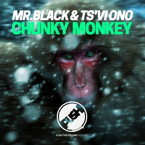 Mr.Black, TS'VI ONO - Chunky Monkey (Original Mix)