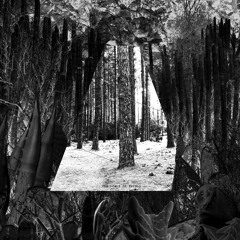 The Scale Of Things (excerpts)