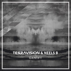 Terravision & Neels B - Identify