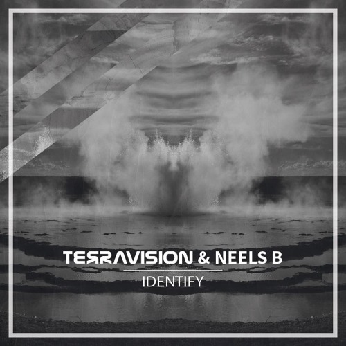 Terravision & Neels B - Identify