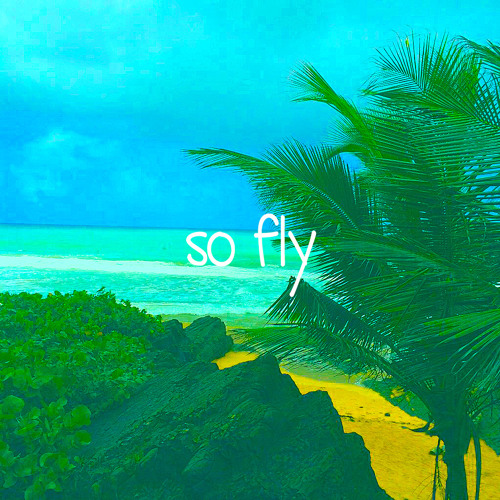 so fly