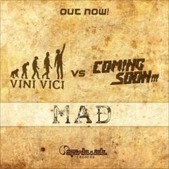 Vini Vici - Mad & Chapeleiro - Disco Voador  (Liger Morlo Mashup)