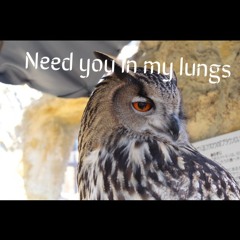 Need You In My Lungs