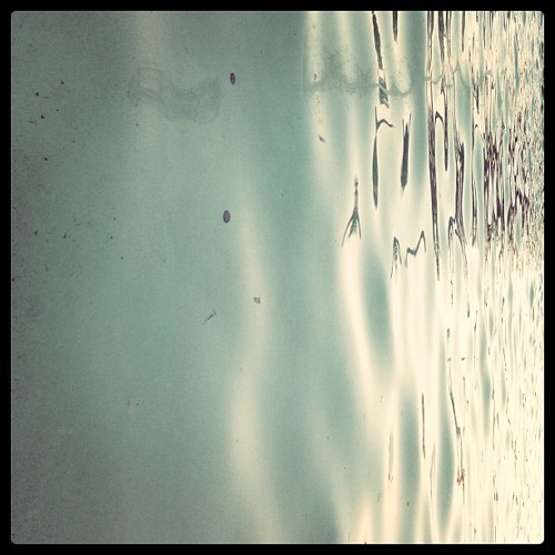 Nowhere Is Now And Here - lapd0g