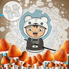 Mochipet ~ Psilosybin Samurai (Pockitz Remix)