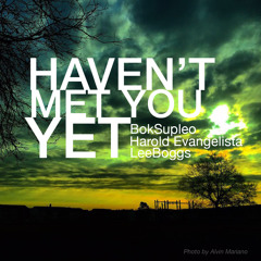 Haven't Met You Yet - Bokky, Boogy and LeeB