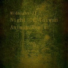 Night of Taiwan - Animat Remix