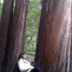 The Total Gravity Of Life