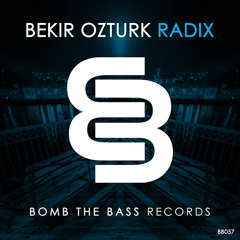 Bekir Ozturk - Radix (Original Mix)