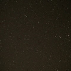 Cicadas In The Middle Of The Night