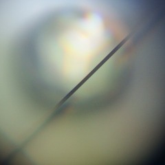 Expozed - This And That