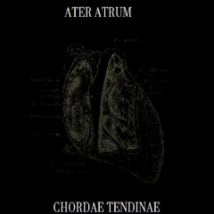 They Put Him In A Tiny Coffin