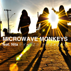 Microwave Monkeys feat. Nita - Sun Is Shining (Radio Version)