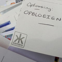 Oplossing: Opbloeien! [PROMO]