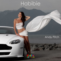 Habibie (Original Mix)