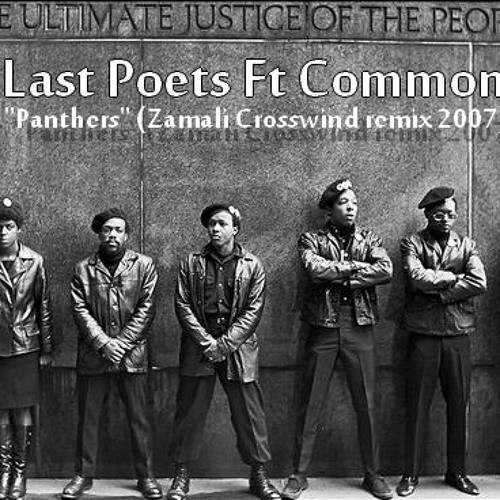 Last Poets Ft Common - Panthers (Crosswind Zamali Remix)