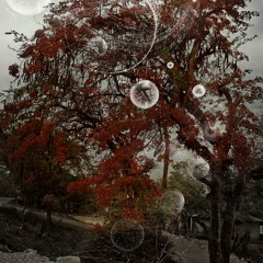 E- Johannes Heil & Gregor Tresher