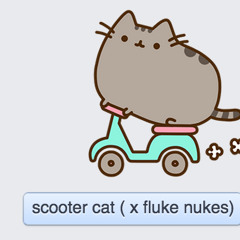 scooter cat (x fluke nukes)